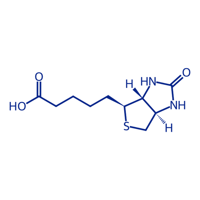 Biotina